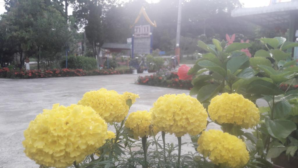 Paramee Inn Pai Esterno foto