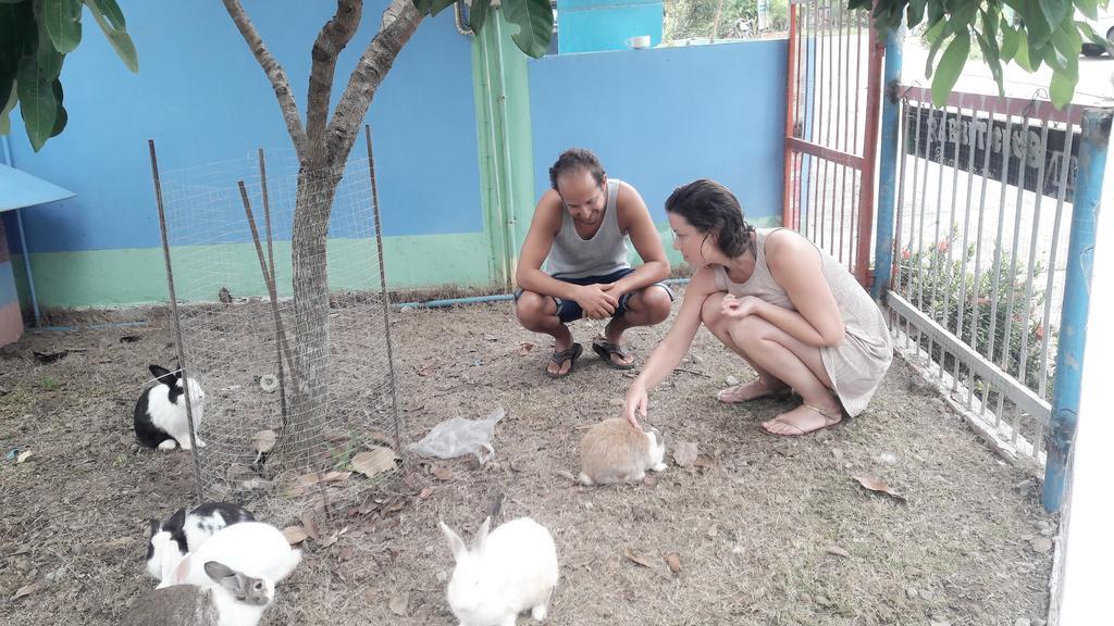 Paramee Inn Pai Esterno foto